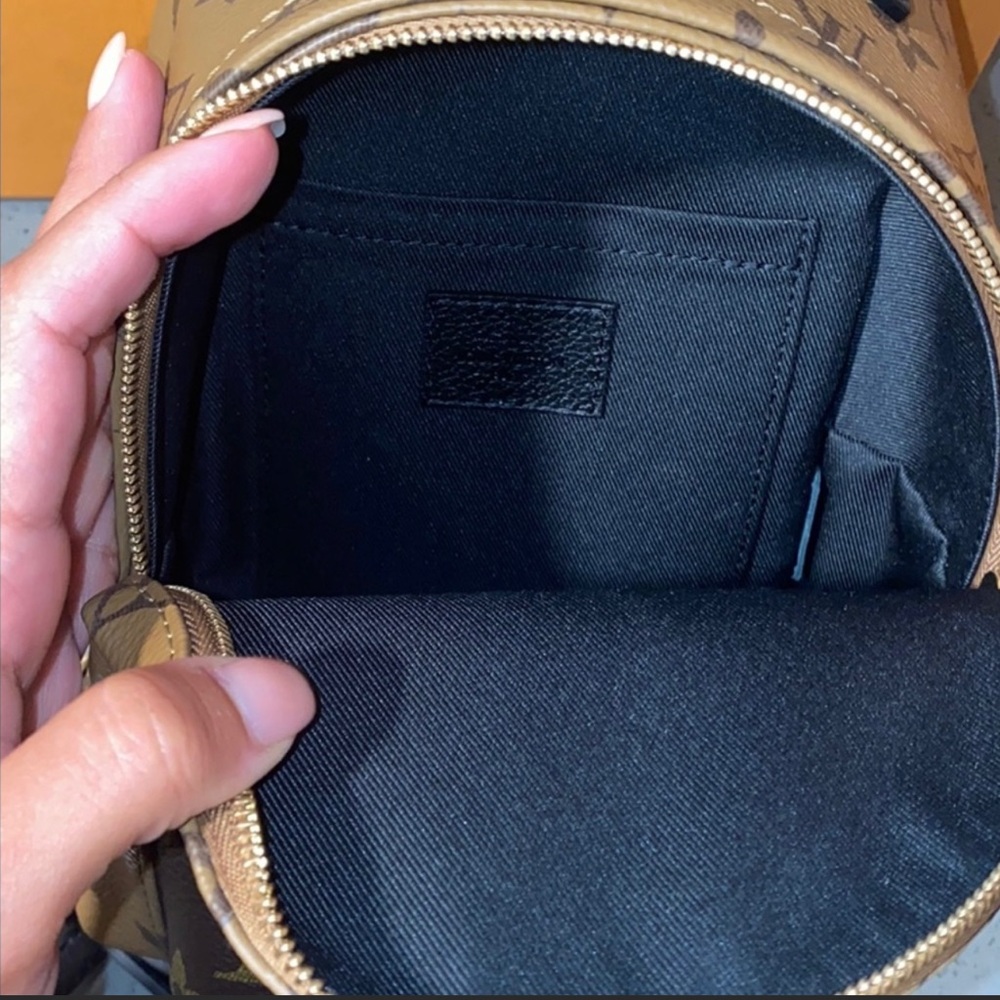 Louis Vuitton Palm Springs Mini Backpack - Picture 4 of 12